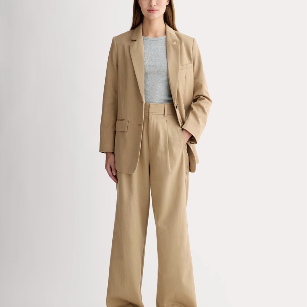 Everlane Draper Plated Pant